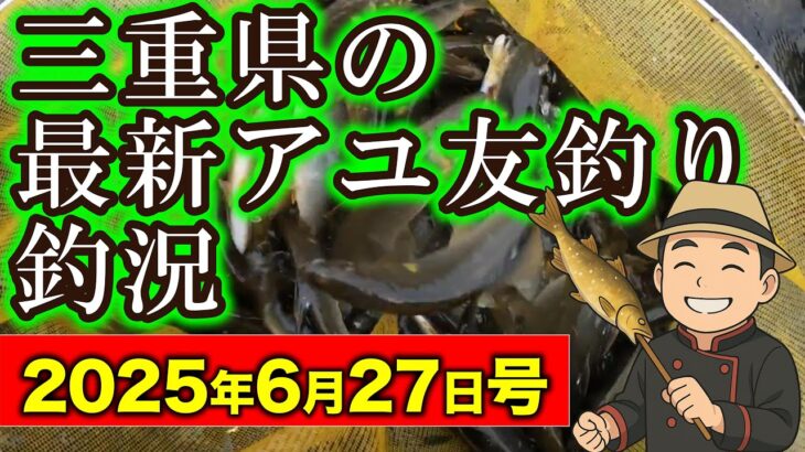 【速報】三重県のアユの友釣り釣況　最新情報2025年6月27日版