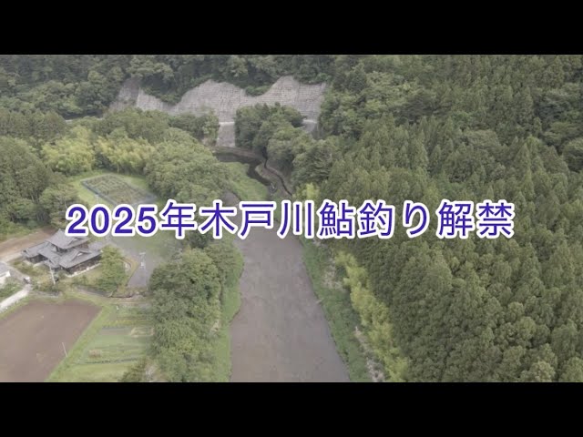 2025年6月28日木戸川鮎釣り解禁