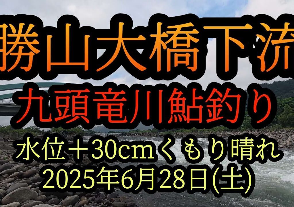 【勝山大橋下流】九頭竜川勝山　鮎釣り2025年6月28日(土)