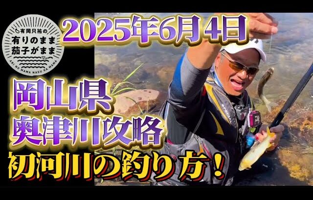 【鮎釣り】2025/6/4 初めての河川で閃く！