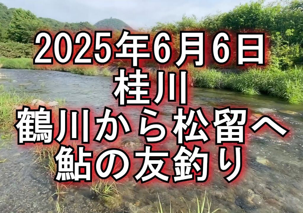 山梨桂川　鮎解禁６日目　鶴川、松留の釣果　2025/6/6