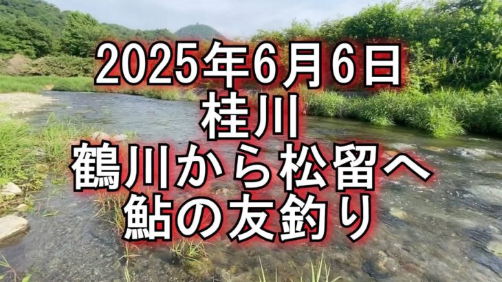 山梨桂川　鮎解禁６日目　鶴川、松留の釣果　2025/6/6