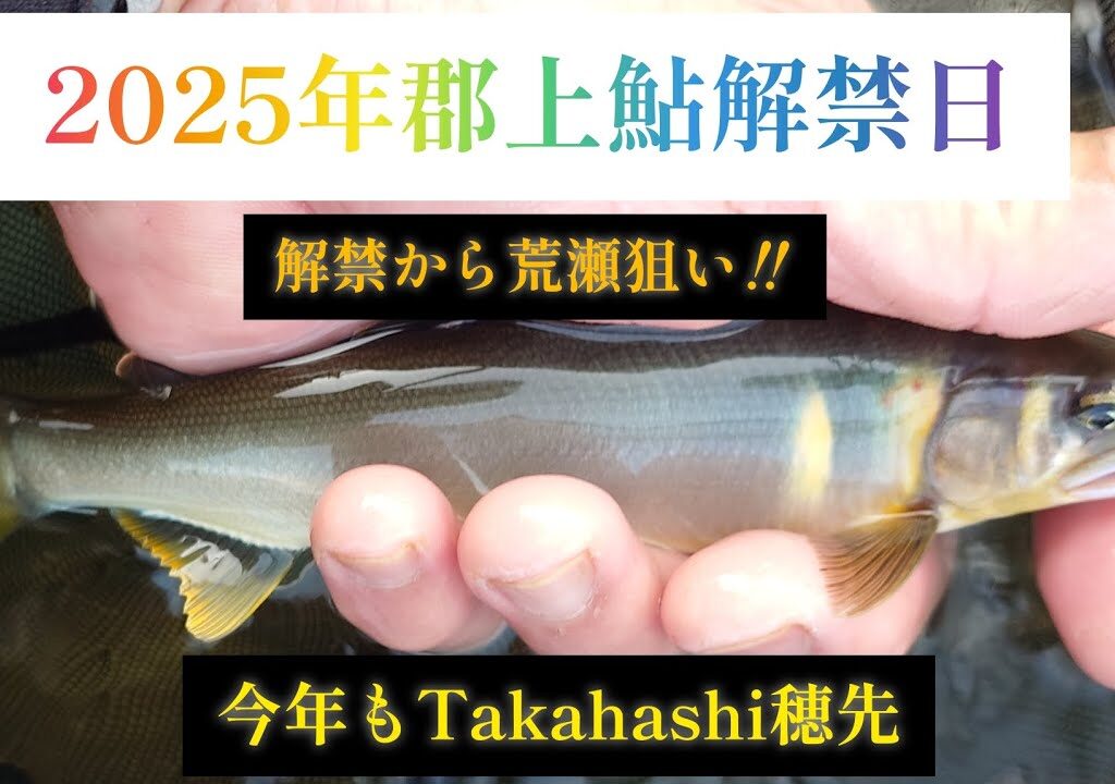 2025年郡上鮎解禁日　解禁から荒瀬狙い‼️　今年もTakahashi穂先