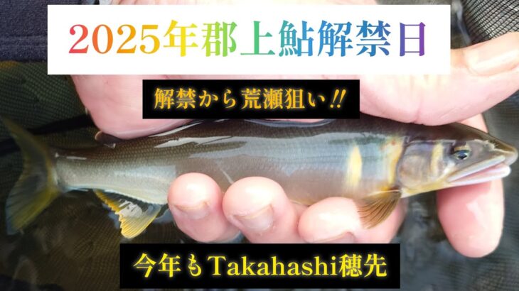 2025年郡上鮎解禁日　解禁から荒瀬狙い‼️　今年もTakahashi穂先