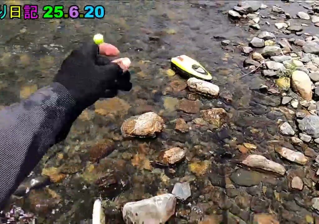 鮎釣り日記 25 6 20