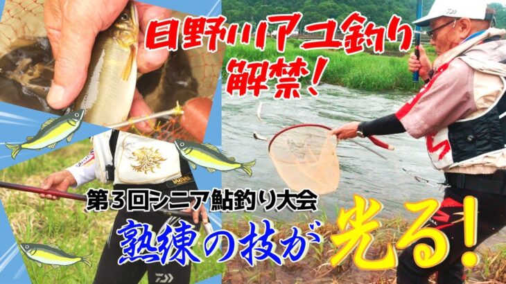 第3回シニア大会鮎釣り大会in日野川！