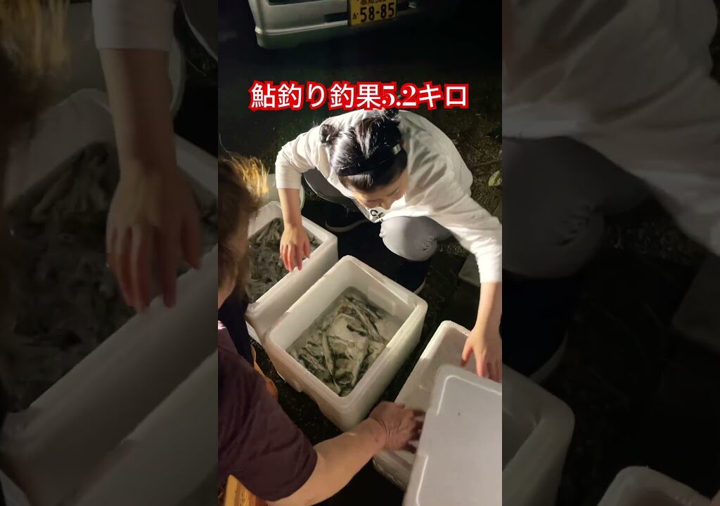 #️⃣仁淀川　#️⃣鮎釣り　本日の釣果5.2キロ