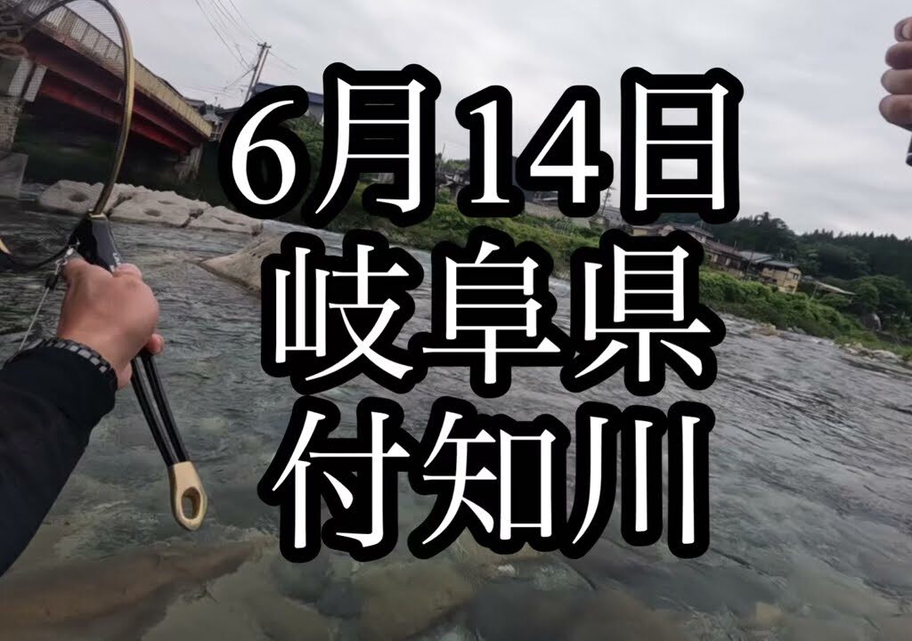 6月14日 岐阜県 付知川　鮎釣り