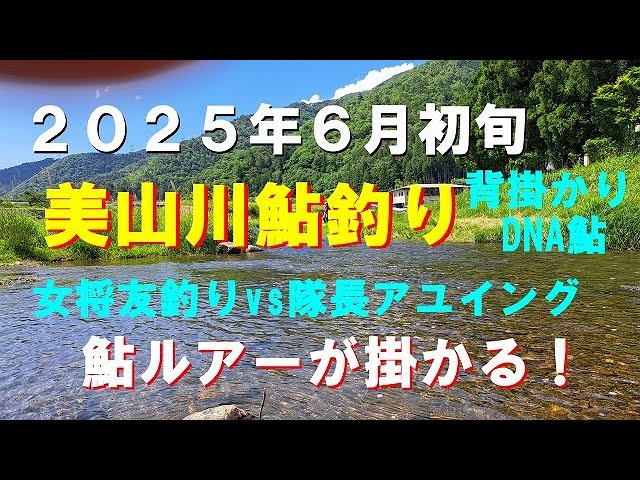 ２０２５年６月４日、美山川アユイングと友釣り！鮎ルアーが解禁日から可能！背掛かりDNA鮎がルアーで釣れてます！