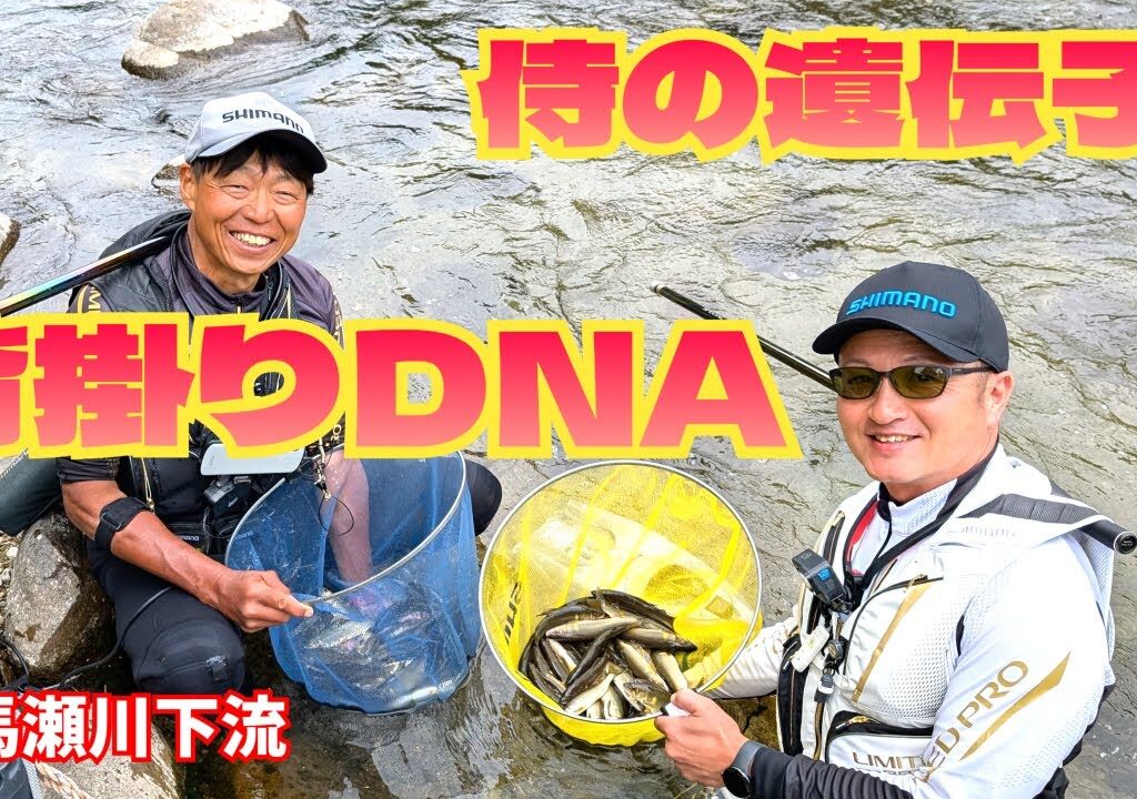 侍の遺伝子を持つ背掛りDNAアユ！【鮎釣り2025】
