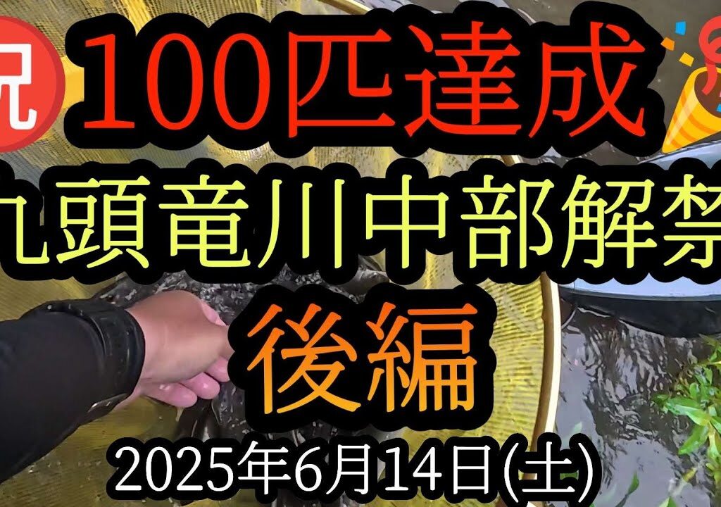 【がまかつパワーR急瀬8mで暴風雨の中100匹達成！】束釣り　後編　九頭竜川中部解禁