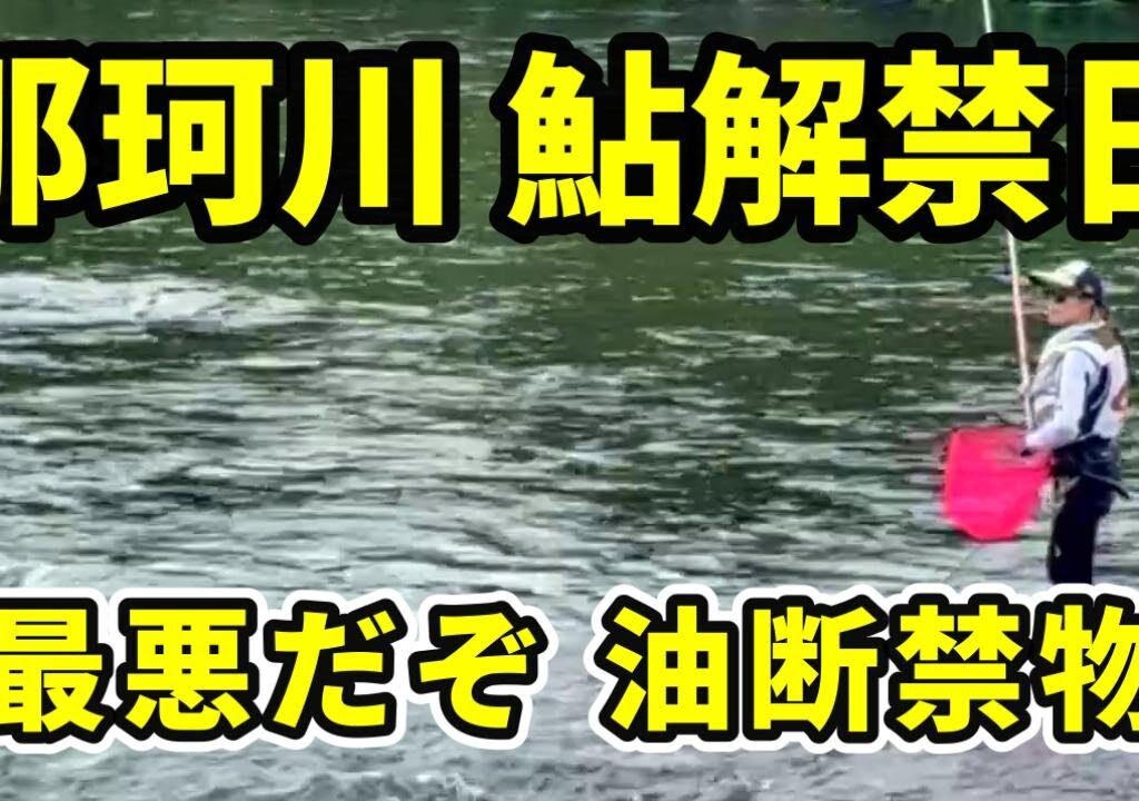 【鮎釣り那珂川】朝６時から解禁日検証！町裏 一本松 各所釣果マズいよこれ！River Healing Channel （リバヒ）