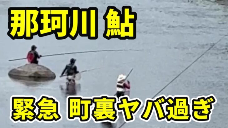 【鮎釣り那珂川】釣り師が語る今の那珂川町裏 その驚きの釣果は・・River Healing Channel （リバヒ）