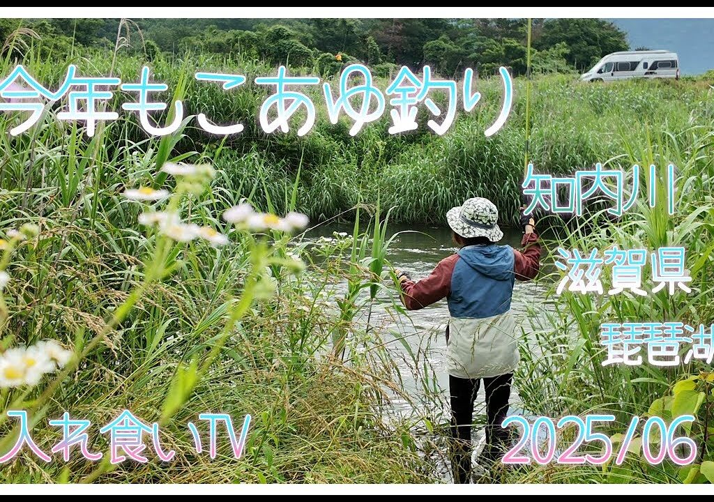 【こあゆ釣り】今年も小鮎釣り始まりました。琵琶湖へこあゆ釣り知内川へ…今年は少し厳しい予感…？入れ食いTV　BM艇　https://youtu.be/GRneuQea6Hg