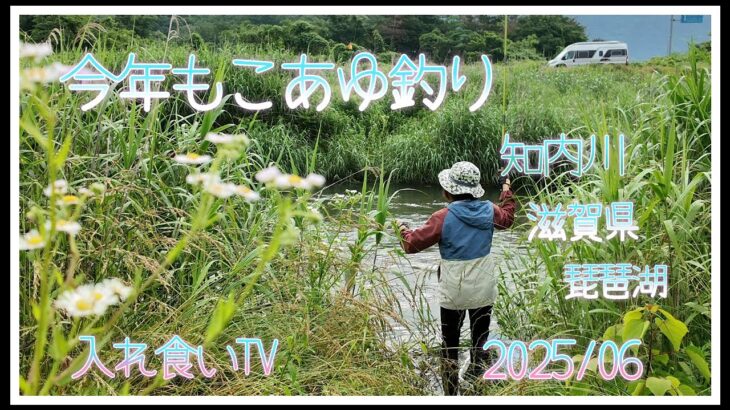 【こあゆ釣り】今年も小鮎釣り始まりました。琵琶湖へこあゆ釣り知内川へ…今年は少し厳しい予感…？入れ食いTV　BM艇　https://youtu.be/GRneuQea6Hg