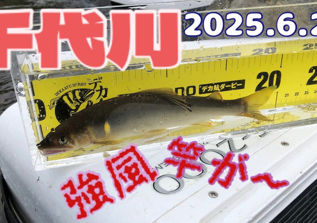 takeちゃんの鮎つりでGO!! 千代川(2025.6.21）