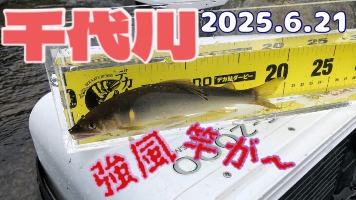 takeちゃんの鮎つりでGO!! 千代川(2025.6.21）