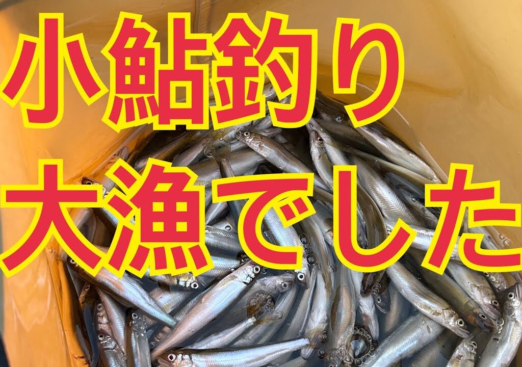 ★★お手軽に小鮎釣りは楽し過ぎ★★
