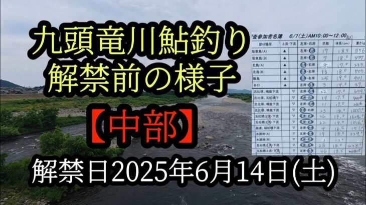 九頭竜川鮎釣り【中部】解禁前の様子