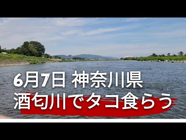 鮎釣りの神様に叱られたような気がしたような…