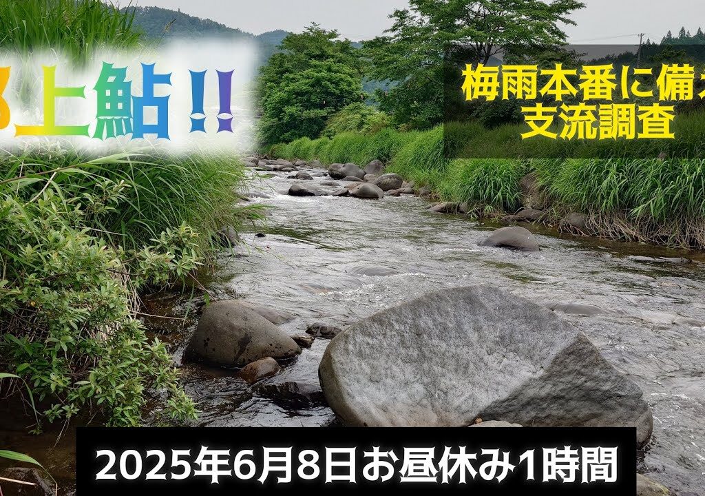 郡上鮎‼️梅雨本番に備え支流調査
