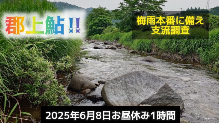 郡上鮎‼️梅雨本番に備え支流調査