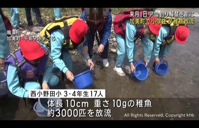 アユ釣り解禁を前に小学生がアユの稚魚を放流　宮城・加美町の鳴瀬川