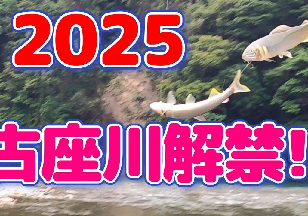 【鮎釣り】古座川が解禁した！行かねば！