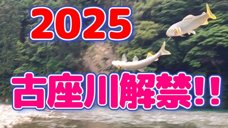 【鮎釣り】古座川が解禁した！行かねば！