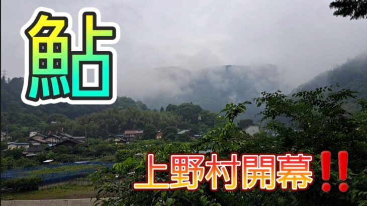 鮎釣り　上野村開幕‼️　解禁日風景