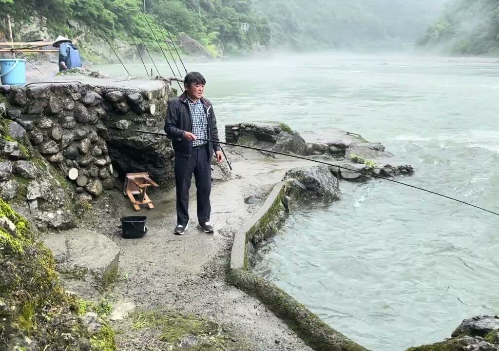 今日の仁淀川鮎釣り