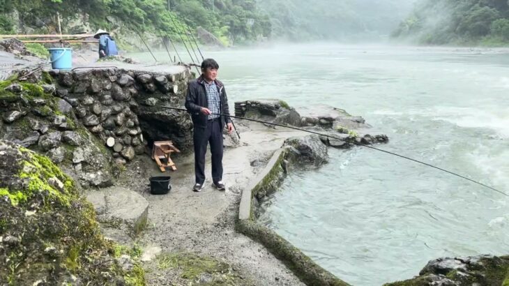 今日の仁淀川鮎釣り
