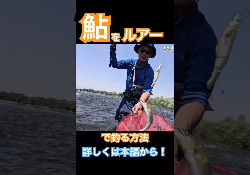 ルアーで大きな鮎が釣れた！