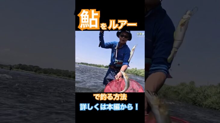 ルアーで大きな鮎が釣れた！