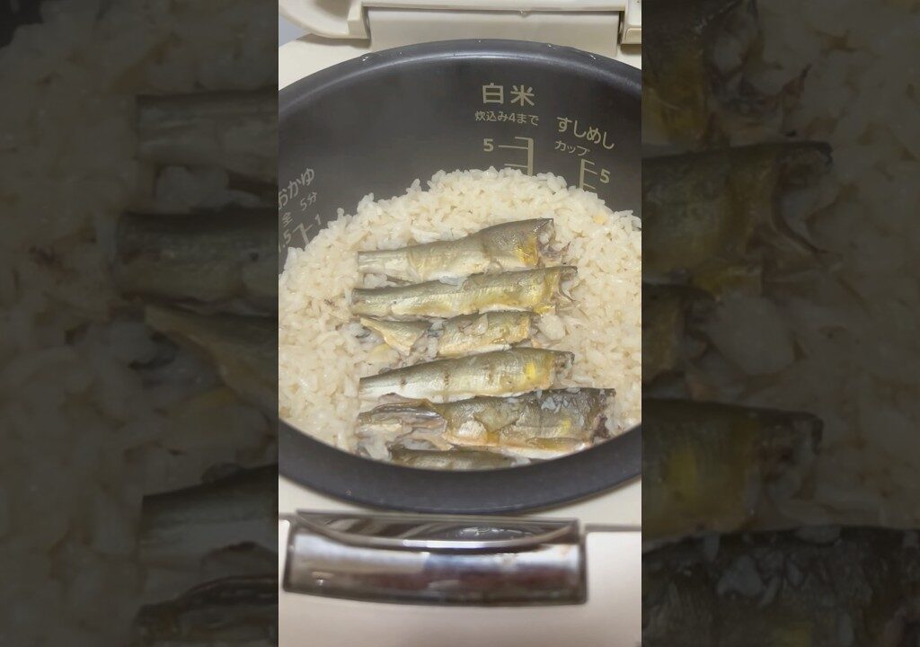 【江の川鮎】鮎ごはん/剛名人レシピ #鮎釣り #鮎料理