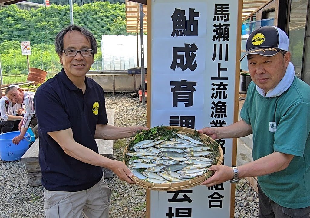 【今年の馬瀬川は！？】馬瀬川上流 アユ成育調査
