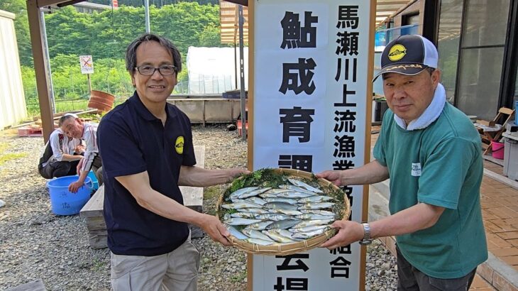 【今年の馬瀬川は！？】馬瀬川上流 アユ成育調査