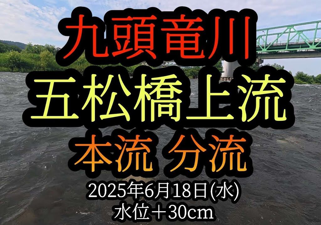 【五松橋】上流、分流　九頭竜川中部の鮎釣り