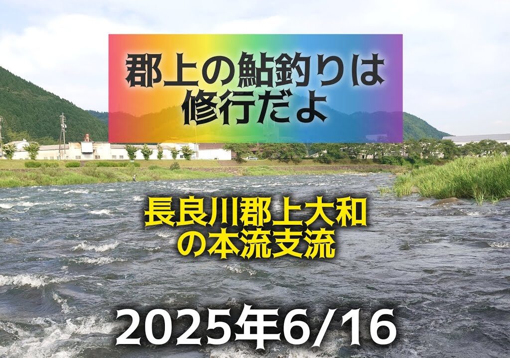 郡上の鮎釣りは修行だよ　長良川郡上大和の本流支流