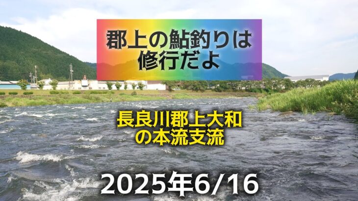 郡上の鮎釣りは修行だよ　長良川郡上大和の本流支流