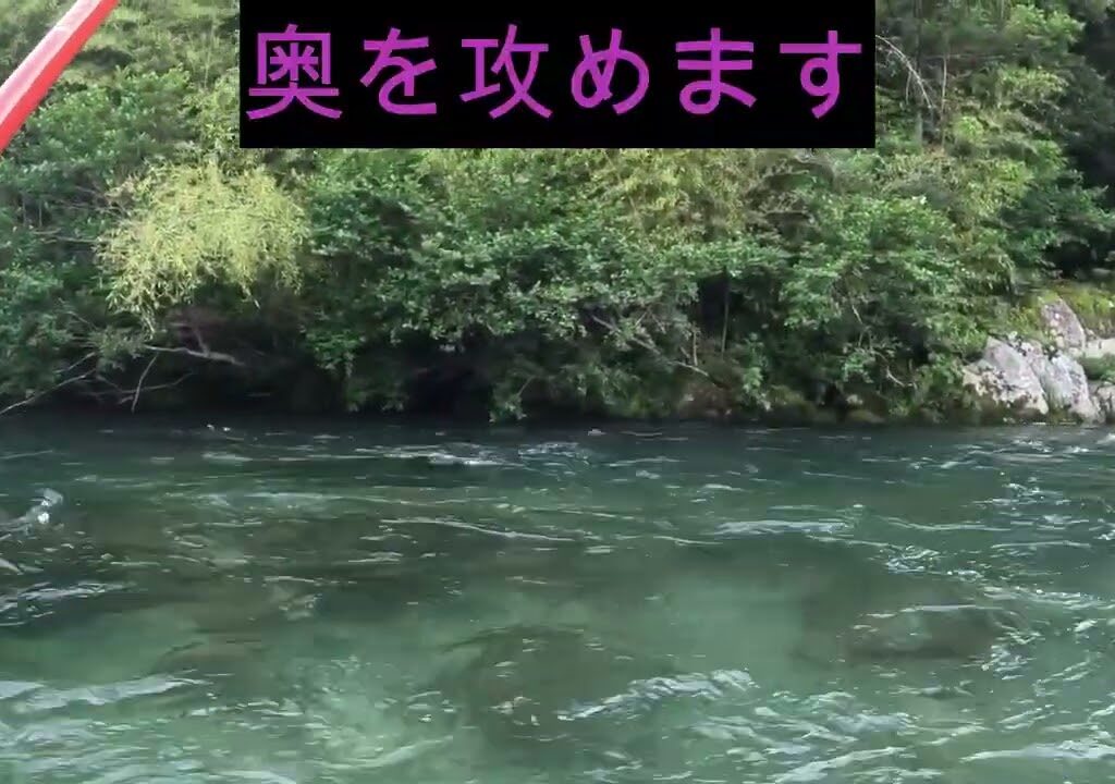 今季初の鮎釣り