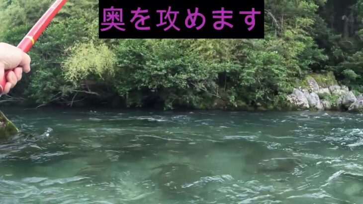 今季初の鮎釣り