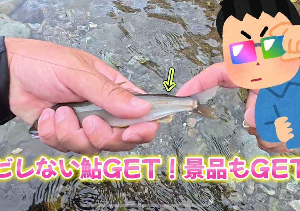 秋川小峰オトリ店前で鮎釣り！