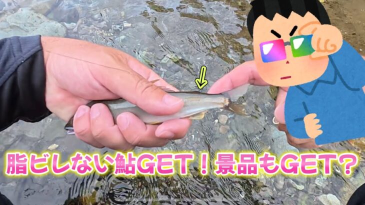 秋川小峰オトリ店前で鮎釣り！