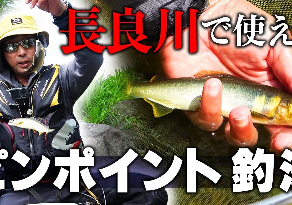 長良川を知り尽くした男が編み出した釣り方が凄すぎた【長良川 鮎釣り】