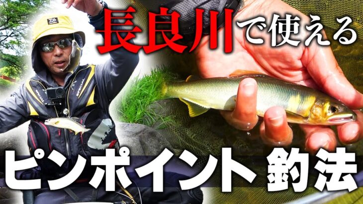 長良川を知り尽くした男が編み出した釣り方が凄すぎた【長良川 鮎釣り】