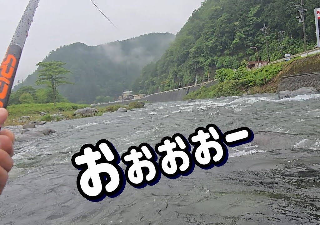 【それにしてもデカいね！】荒瀬で養殖釣法　白川解禁 飛騨川漁協　鮎釣り