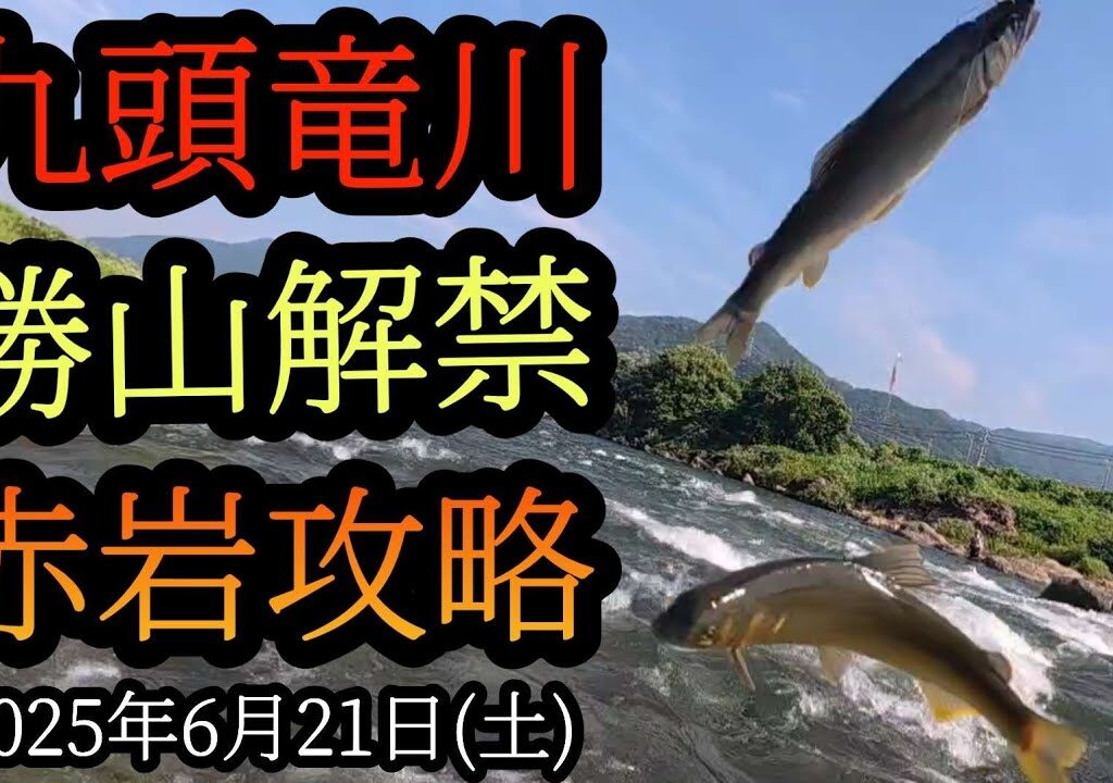 【勝山解禁】九頭竜川鮎釣り　赤岩攻略