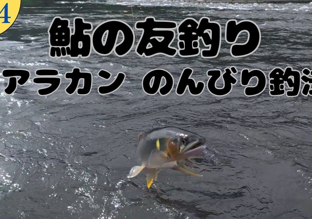 【鮎の友釣り】アラカンなので、石に座って休憩しながらのんびり友釣りしました。