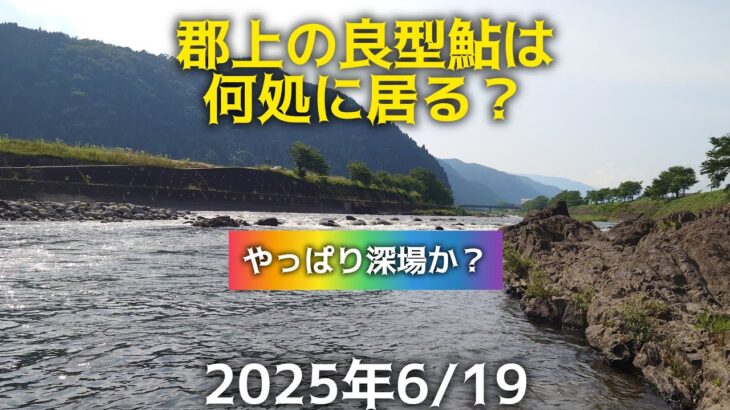郡上の良型鮎は何処に居る？やっぱり深場か？